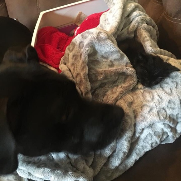 Hello! - Picture 4 of 5